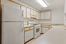 mamlspin/dddf4a5629d95c020b0a7e7343c7b9cf.jpg?width=131&height=105&format3=webp