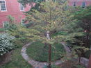 mamlspin/deacf63d974fd12d9b23349cd6c3062e.jpg?width=131&height=105&format3=webp
