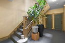 mamlspin/e1b4bf40774cb372be43f72bb8968b39.jpg?width=131&height=105&format3=webp