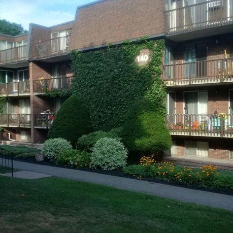 Front view of a multi-story apartment building with balconies and greenery.