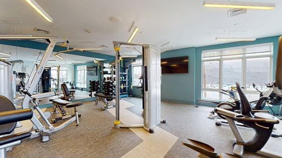 A well-equipped gym with various exercise machines and weights.