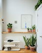 mamlspin/e8d8c65667d0ba092208d4a7161c7e49.jpg?width=131&height=105&format3=webp