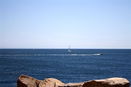mamlspin/ed1ff60a1c32621b2e9d50b59c105cab.jpg?width=131&height=105&format3=webp