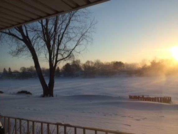 Snow-covered landscape with trees and sunrise in the distance.