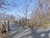 Unit C-4