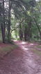 mamlspin/efee6f8542294c60185bab4549df9308.jpg?width=131&height=105&format3=webp