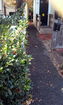 mamlspin/f194764c2b6b09b22b752fcfe5e4665e.jpg?width=131&height=105&format3=webp