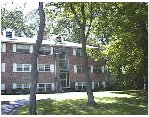 Building Images