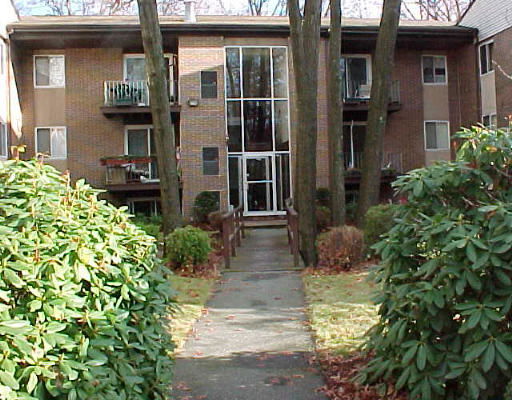 Building Images