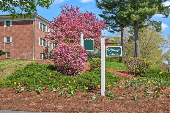 Community Image