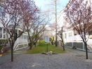 mamlspin/f8922c930bc85ad55b50d9f9a958557f.jpg?width=131&height=105&format3=webp