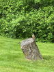 mamlspin/f9905ce571baab6f93e332ed46bcfc26.jpg?width=131&height=105&format3=webp