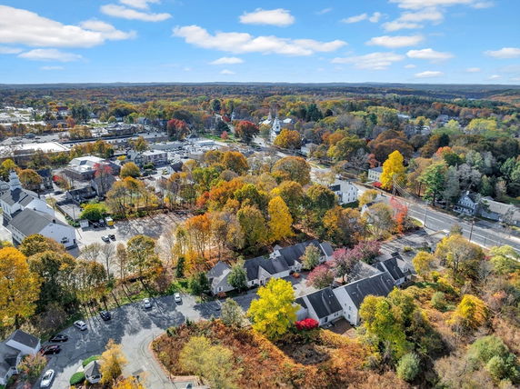 Aerial view of a suburban neighborhood with houses surrounded by autumn trees.