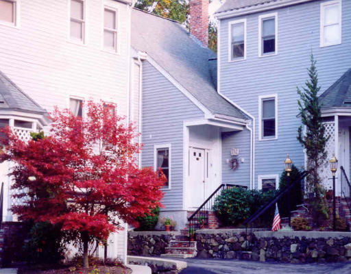 Community Image