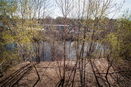 mamlspin/fd787e38d57bd5a07642c5ebb0e0dcdb.jpg?width=131&height=105&format3=webp