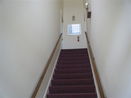 mamlspin/fdce387bb397713f34f306ab2941dac2.jpg?width=131&height=105&format3=webp
