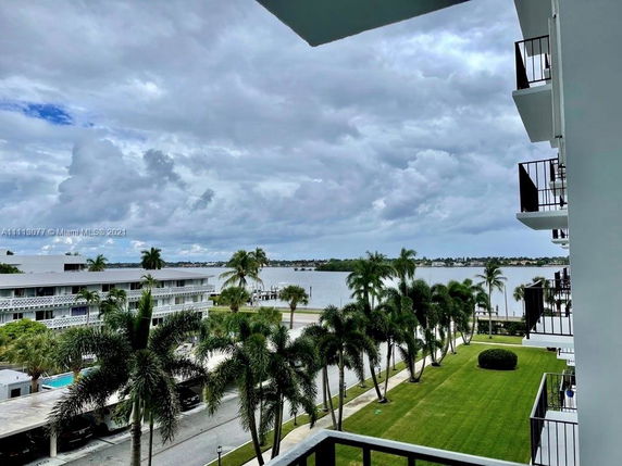 View from a building balcony showing palm trees, a waterfront, and surrounding buildings.