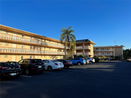 miamire/0156d6a5681c03cbd5a42350766a7b17.jpg?width=131&height=105&format3=webp
