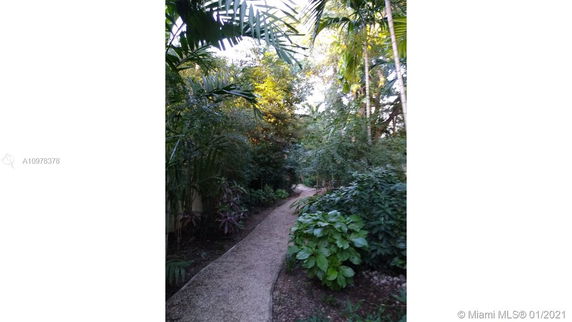 Pathway surrounded by dense greenery and trees