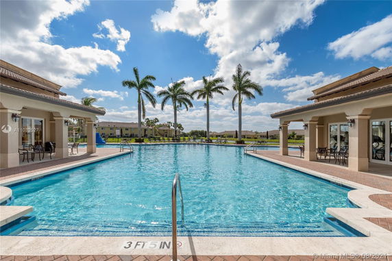 Outdoor swimming pool with patio area and palm trees in the background.