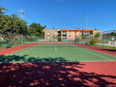 miamire/0242680f7e9e7c85a1924678e386e41f.jpg?width=131&height=105&format3=webp