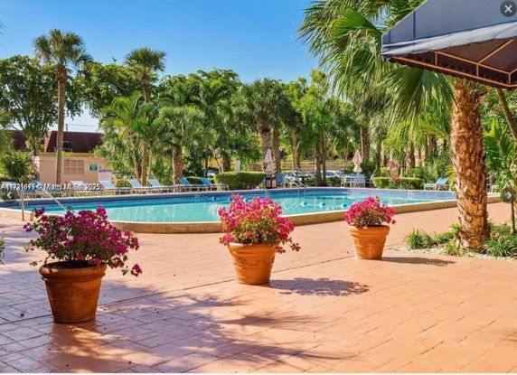 Outdoor swimming pool surrounded by palm trees and potted plants.