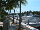 miamire/0392408d6a82f2ae3efcf56542035bf3.jpg?width=131&height=105&format3=webp