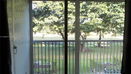 miamire/0457eb90b6f57e7fc61569c4088aa172.jpg?width=131&height=105&format3=webp