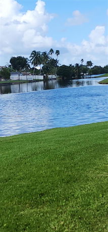 View of a body of water with palm trees and houses in the background.