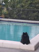 miamire/04f24e497fc39a30fb744c403a3222ab.jpg?width=131&height=105&format3=webp