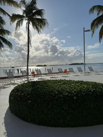 Outdoor area with palm trees and lounge chairs facing a body of water.