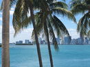 miamire/060340be00b8b5c9e68cec6edd5b9664.jpg?width=131&height=105&format3=webp