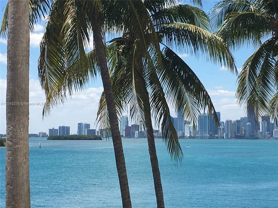 View of a city skyline across water, framed by palm trees.