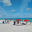 miamire/068e74ddb27ce57e3860c8868e68a290.jpg?width=131&height=105&format3=webp