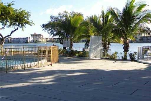 View of a waterfront area with palm trees and buildings in the background.