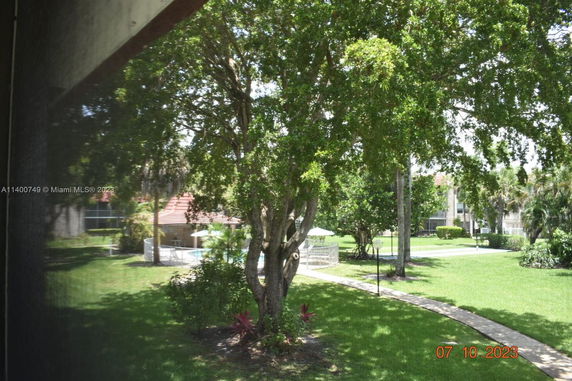 View of a garden area with a large tree, lawn, and visible parts of buildings.