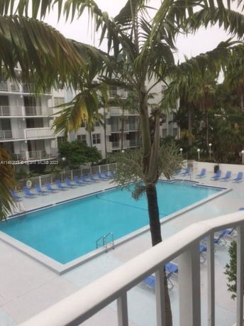 View of a swimming pool surrounded by lounge chairs and palm trees.