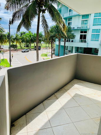 View from a building balcony overlooking palm trees and a nearby street.