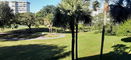 miamire/09f734ace6d86cd967ec97062d6337da.jpg?width=131&height=105&format3=webp
