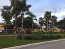 miamire/0a0d31e3e55e47f9fe594839e9baf57b.jpg?width=131&height=105&format3=webp