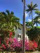 miamire/0a3d9b486cbbf29b286b132119b0aba1.jpg?width=131&height=105&format3=webp