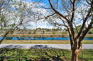 miamire/0ab9bd7a75863c6b8c00c33c8d9886ec.jpg?width=131&height=105&format3=webp