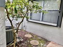 miamire/0bc06e3738d451a21a14ebdf1076ac28.jpg?width=131&height=105&format3=webp