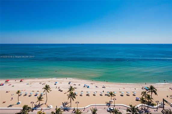 Panoramic view of a sandy beach with palm trees and umbrellas, overlooking a calm ocean under a clear blue sky.