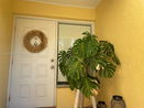 miamire/0e408b5e9741d21bfef0c4ea041e0b94.jpg?width=131&height=105&format3=webp