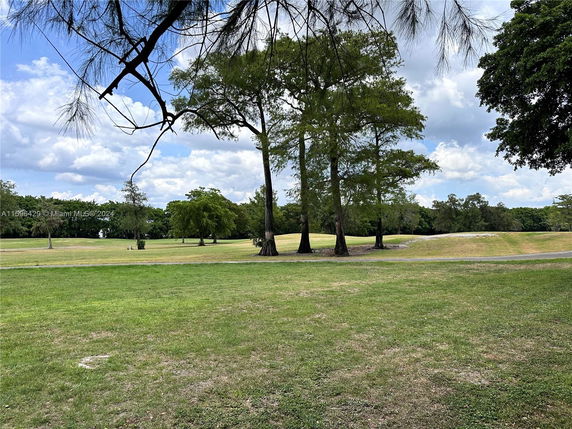 View of a grassy field with scattered trees under a cloudy sky.