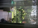 miamire/0e761c56e4fd2eb51c5d850252035f9f.jpg?width=131&height=105&format3=webp