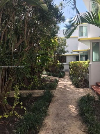 Pathway leading to a modern house with flat roof and yellow trim, surrounded by lush vegetation.