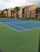 miamire/1299d1bfdbd70afd901726330af2b3e2.jpg?width=131&height=105&format3=webp