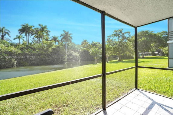 Screened patio overlooking a grassy area and water with palm trees in the background.